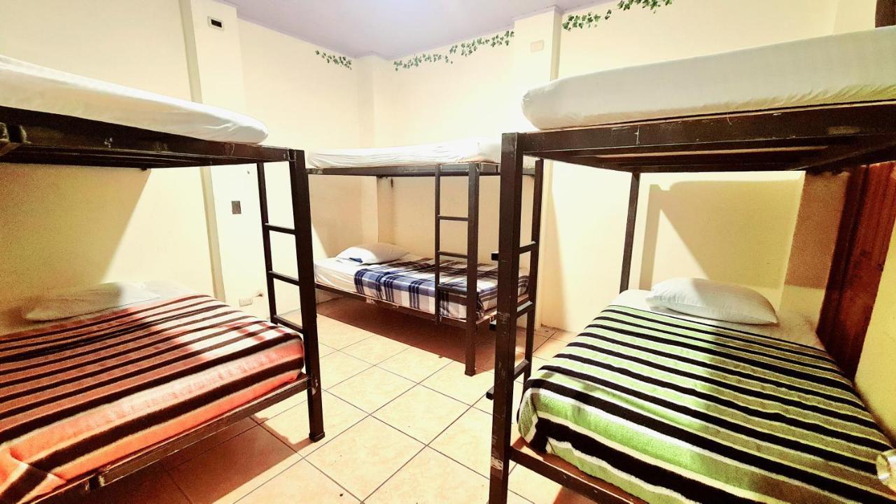 Eco Hotel Puerto Urbano 436 Сан Хосе Екстериор снимка
